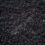 Ягода бархата