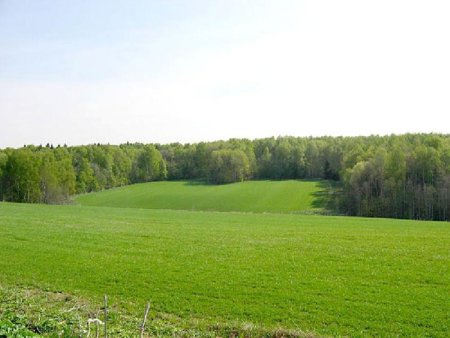 На Луганщине для выращивания овощей нашли 60 тыс. га земли