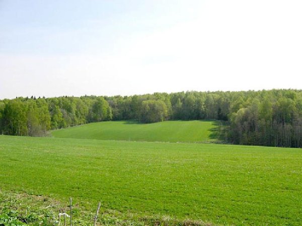 На Луганщине для выращивания овощей нашли 60 тыс. га земли