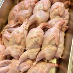 Перепелиное мясо