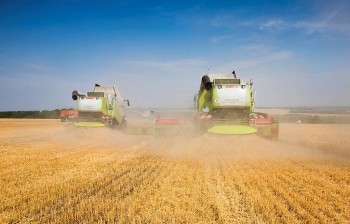 Россия: сельхозпроизводители Новосибирской области продали 68 тыс. тонн зерна - вице-губернатор