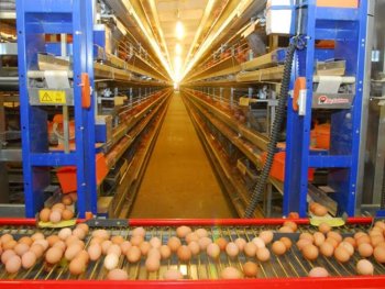 Ульяновская область: год выдался непростым