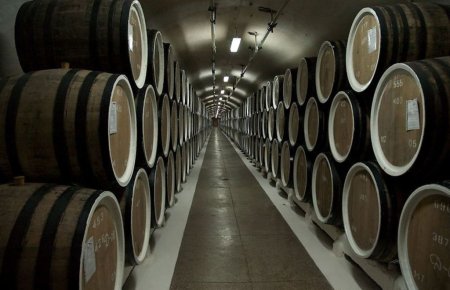 Финны построят винзавод в Севастополе