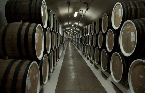 Финны построят винзавод в Севастополе