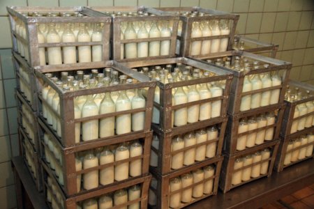 Меньшему количеству детей достанется молоко