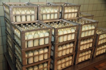 Меньшему количеству детей достанется молоко