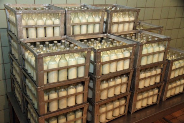 Меньшему количеству детей достанется молоко