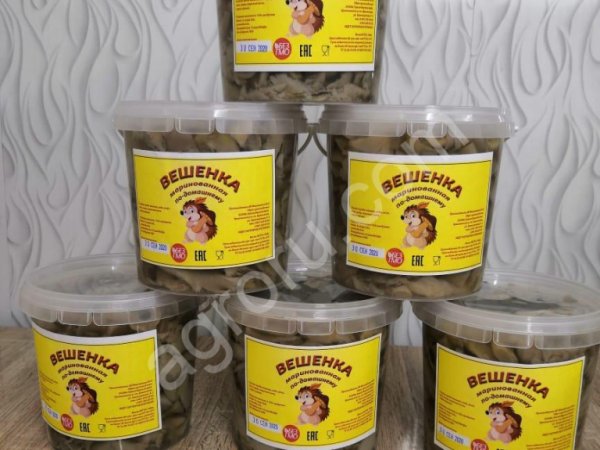 Маринованные грибы ВЕШЕНКА