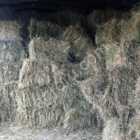 Сено луговое, урожай 2020 года