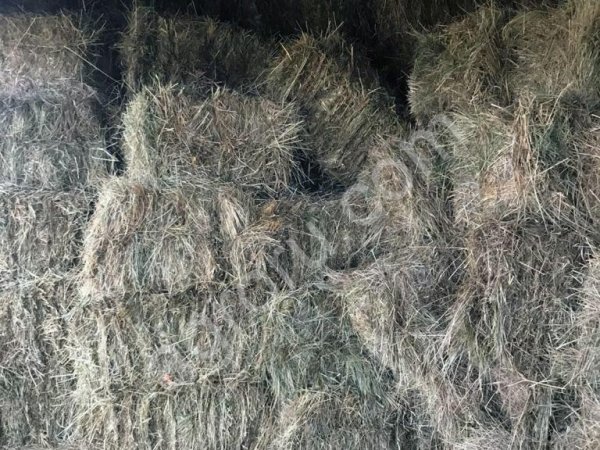 Сено луговое, урожай 2020 года