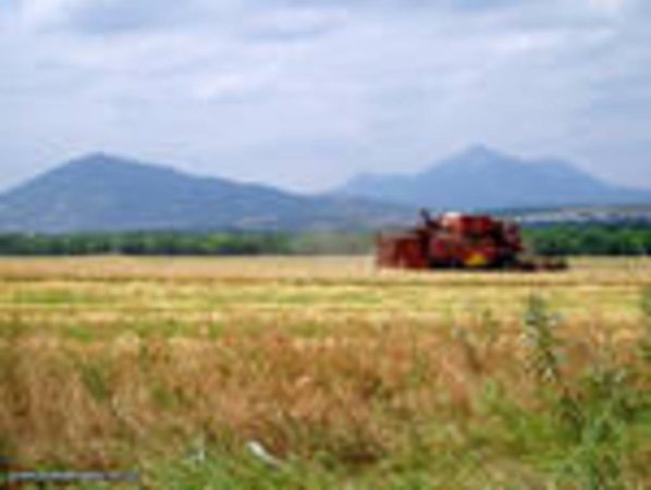Тюменская область в 2011г планирует увеличить сбор зерна