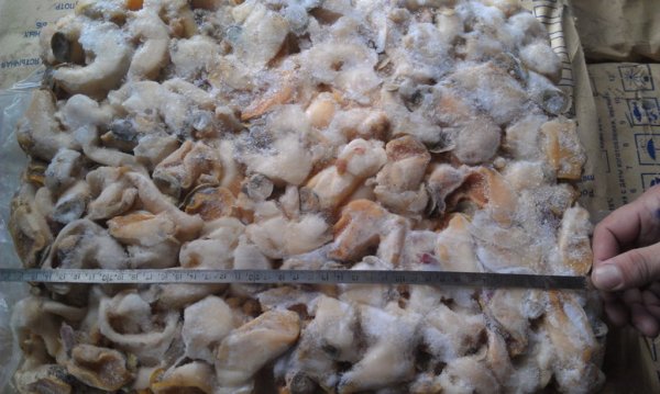 Вылов трубача обернулся уголовным делом