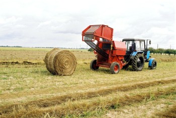 В Назарово создадут предприятие по производству оборудования для кормозаготовок