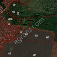 земли сельскохозяйственного назначения 48 га