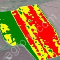 Оцифровка полей