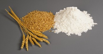В Узбекистане собрано более 7 млн. тонн зерна
