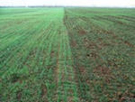 В аграрный сектор Украины можно привлечь до 80 млрд. грн. в год