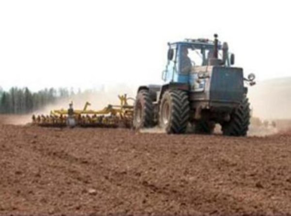 В Ростовской области сев яровых зерновых культур преодолел 50% рубеж