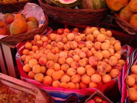 Очень необычный рынок обнаружили петербургские оперативники