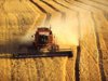 Зерновые в Рязанской области убрали наполовину