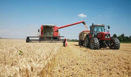 Экспорт зерна из России начал снижаться, урожай ожидается рекордный