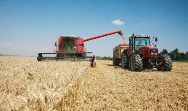 Экспорт зерна из России начал снижаться, урожай ожидается рекордный