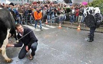Аграрный совет ЕС игнорирует протесты
