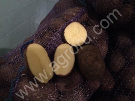 картофеля мелким и крупным оптом