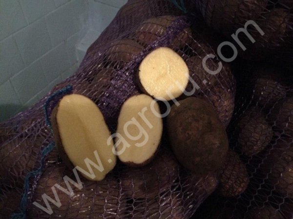 картофеля мелким и крупным оптом