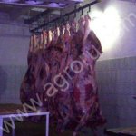 Проектирование и строительство убойных цехов