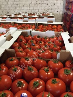 Томаты сорта Биф