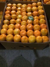 Оптовая мандаринов от
