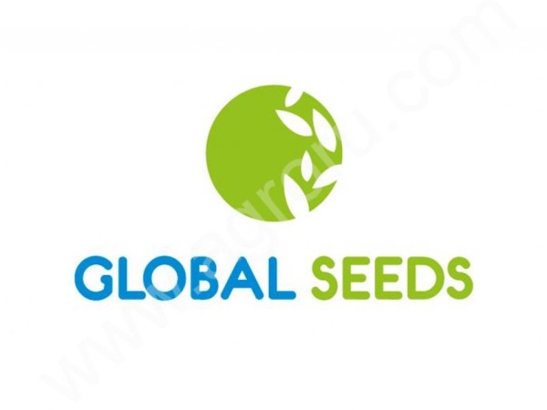 Профессиональные семена овощей от компании Глобал Сидс