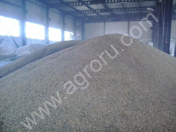 Пшеница, ячмень, овёс, бобовые, масленичные.