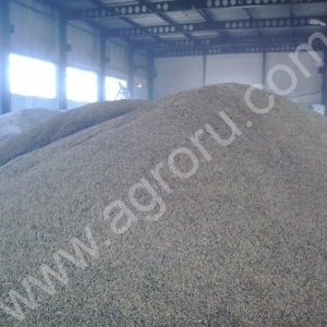 Пшеница, ячмень, овёс, бобовые, масленичные.