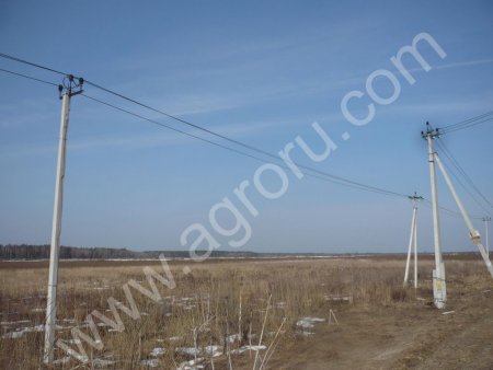 1200 га земли .