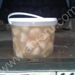 Чеснок солёный, белый, бочкового посола