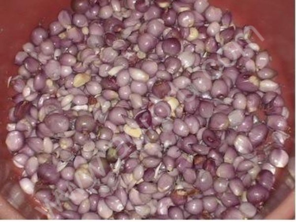 Машина деления чеснока на дольки