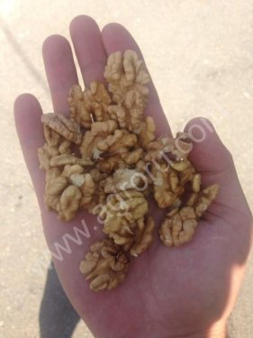 Грецкие орехи
