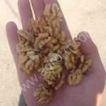 Грецкие орехи