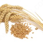 Пшеница 3,4 кл.