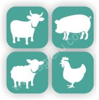 Овес продовольственный, фуражный