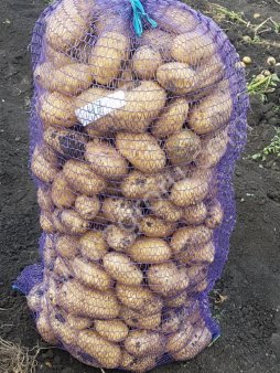 Сетка овощная 50х80см