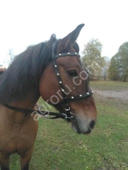 Изготовление Узды полуямской с набором