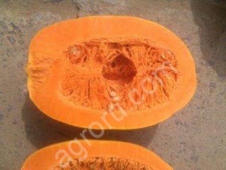 тыкву витаминка, крошка