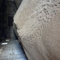 Пшеница 4-5 класс