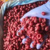 Замороженная Малина