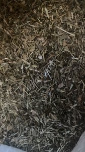 Подорожник