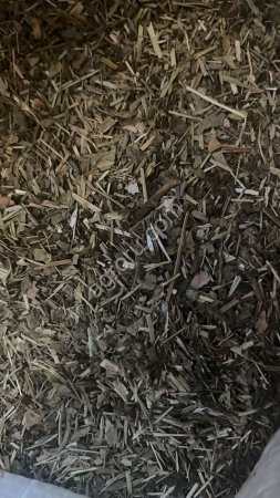 Подорожник