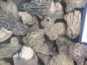 Гриб смарчек сушоный